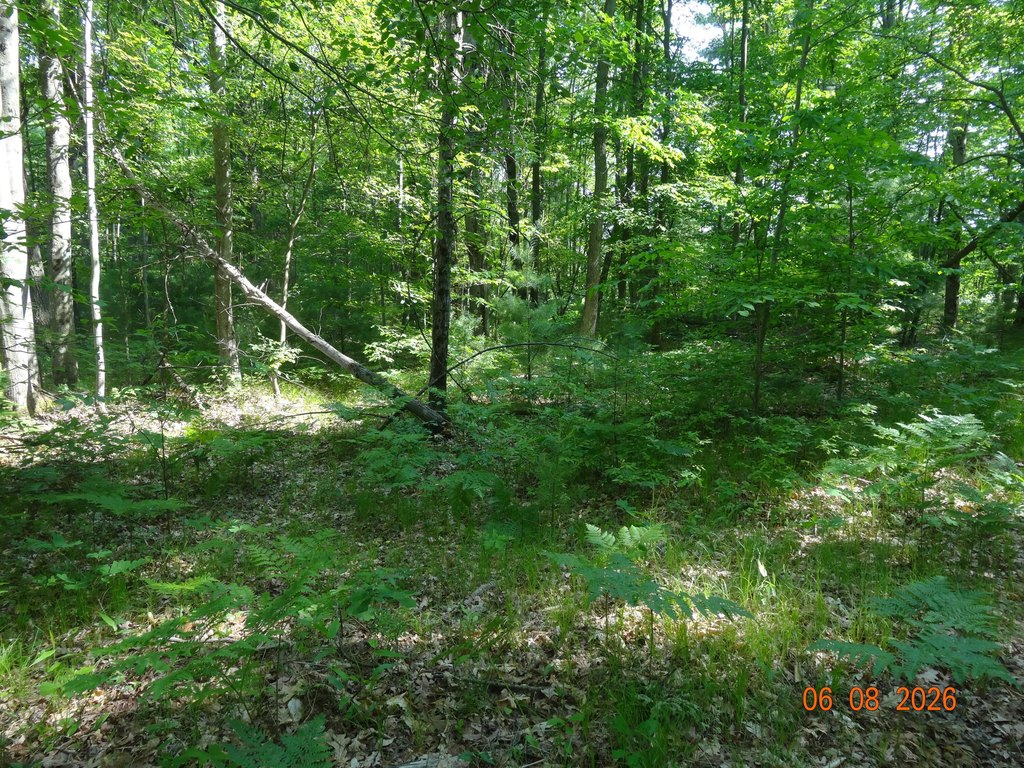 Picture 12