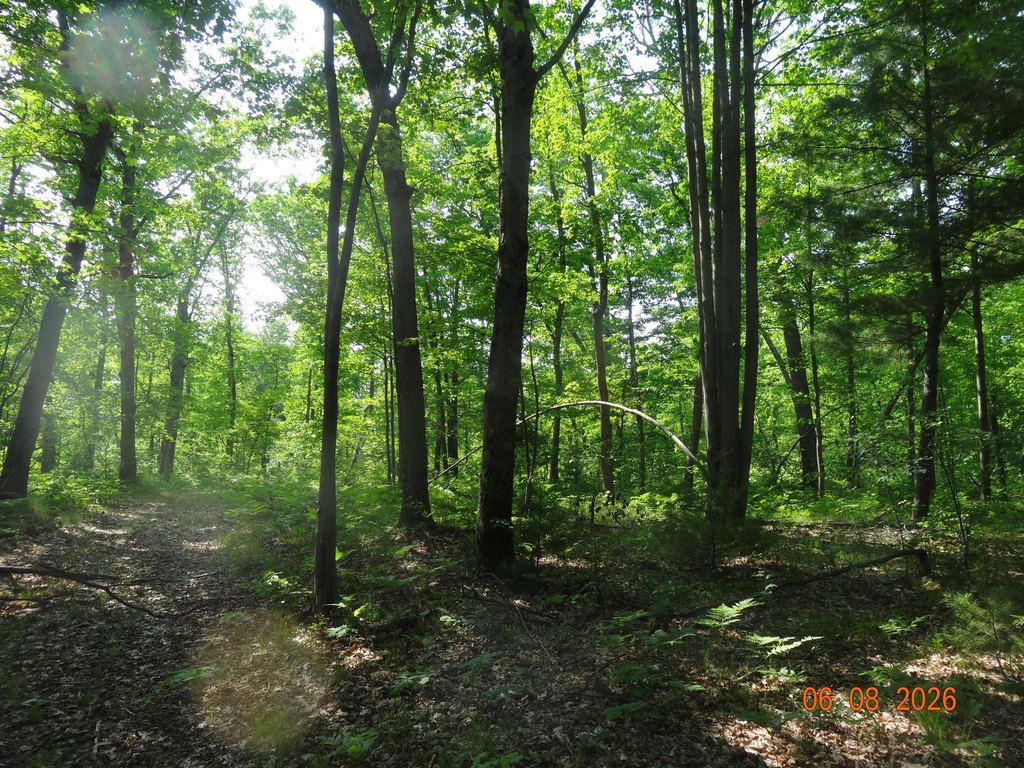 Picture 18