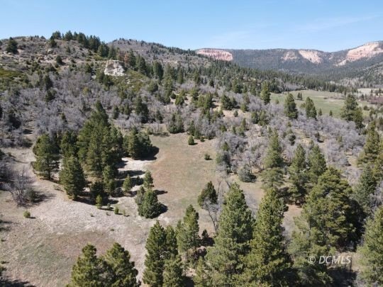 54.25 Acres Vacant Land