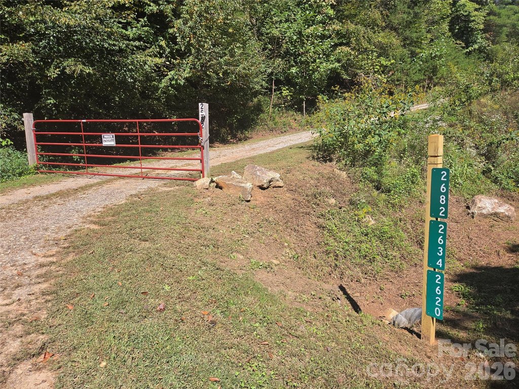 Picture 19