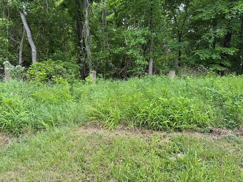 Wooded Lot in Farmville, VA
