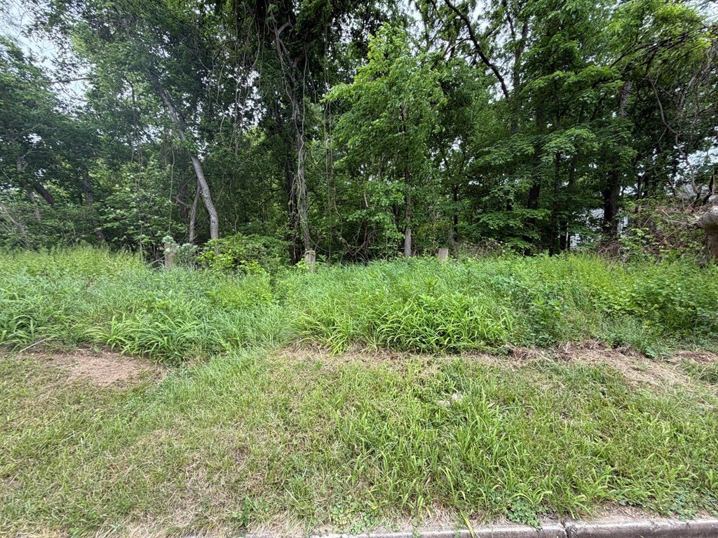 Picture 2