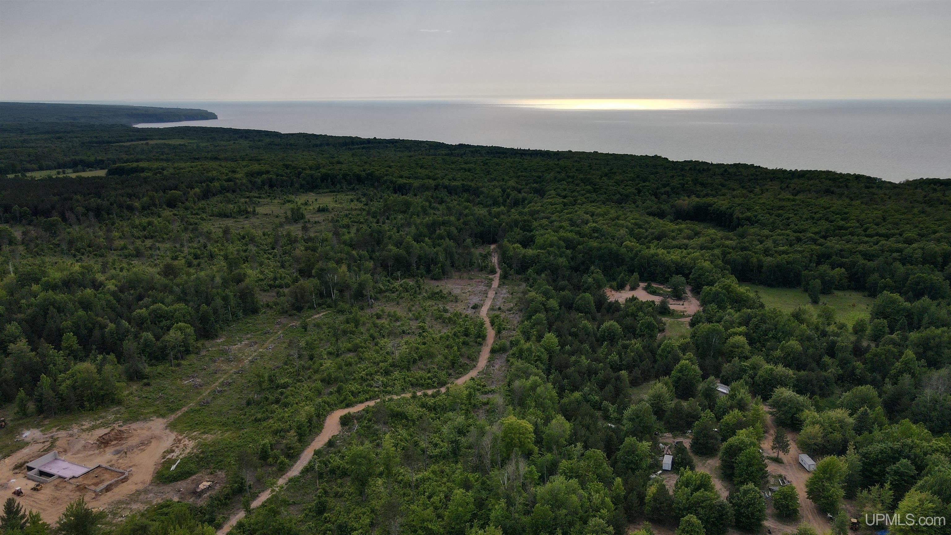 Pristine Forest Land Parcel