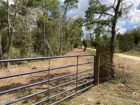 8.55 Acres in Chipley, FL
