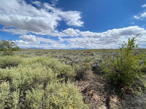 Land, Los Lunas, NM