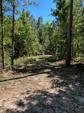 Unrestricted Land Near Lake Sam