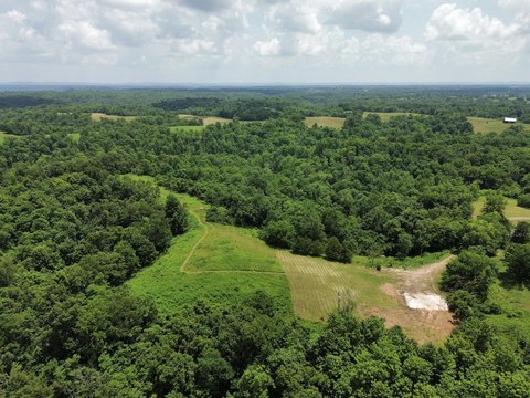 LAND - Maysville, KY