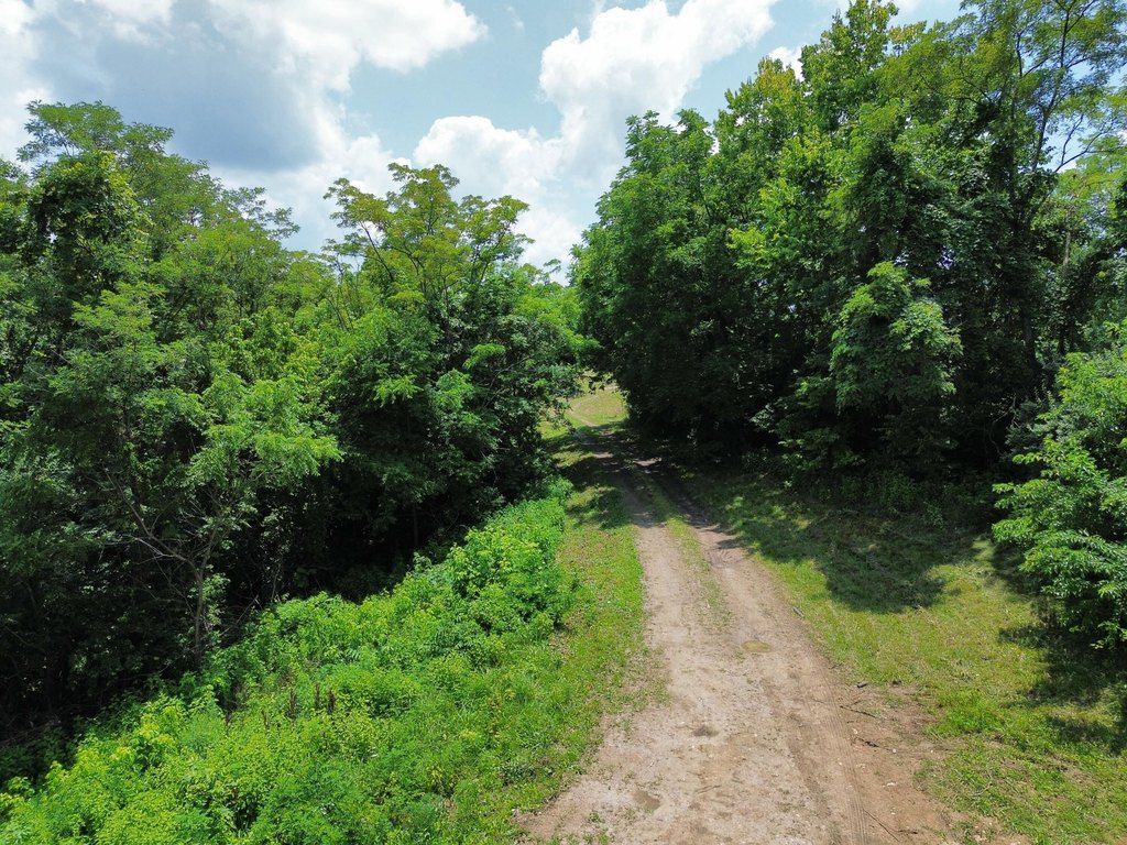 Picture 21