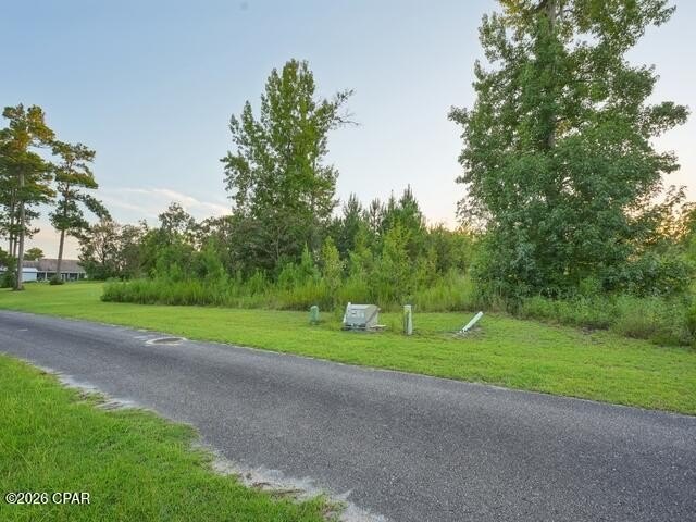 Picture 9