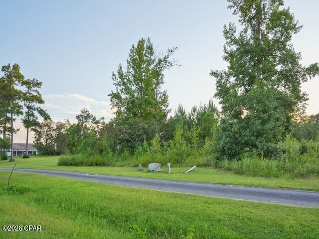 Picture 16