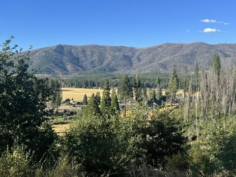 LAND - Greenville, CA