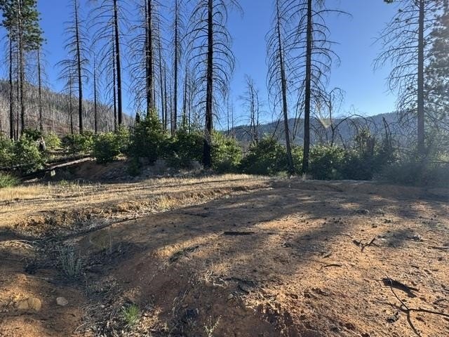 Picture 7