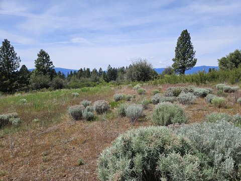 Corner Lot Near Agency Lake