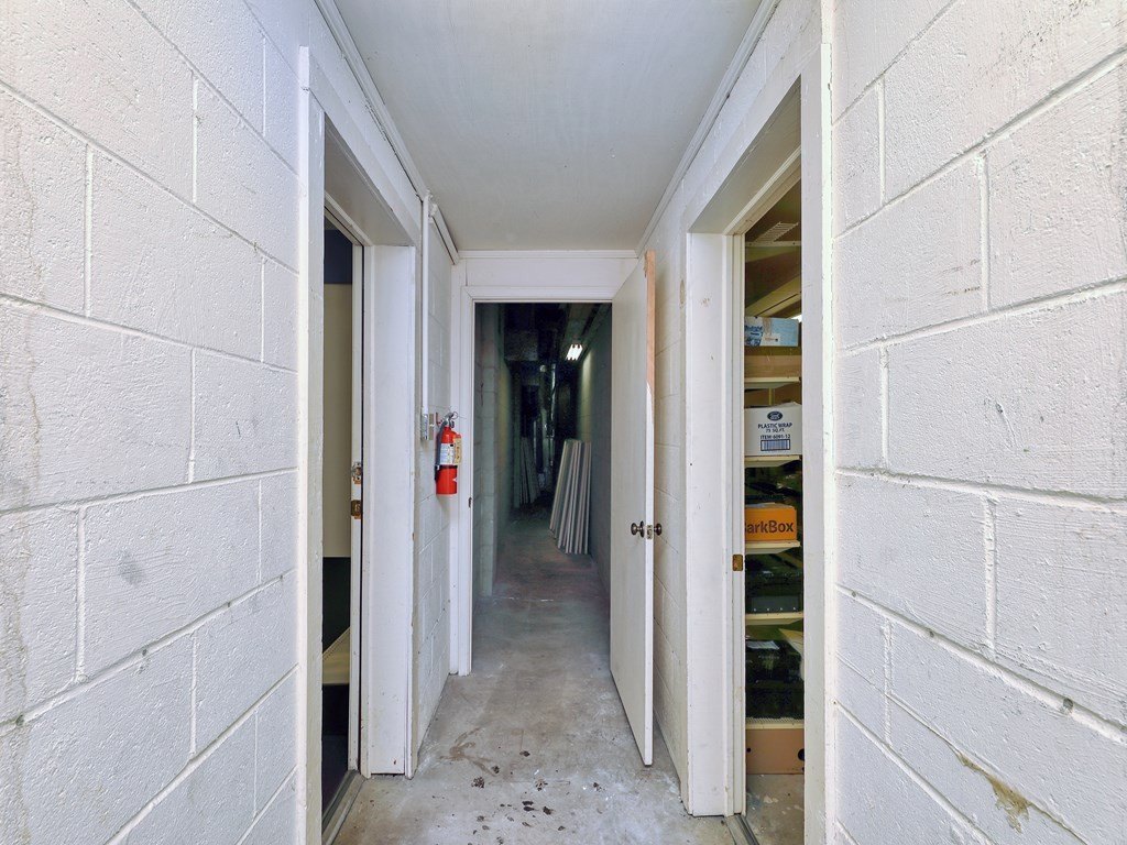 Picture 31