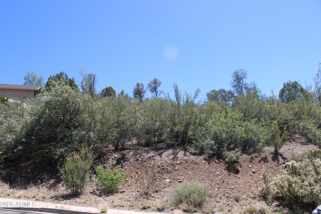 Picture 8