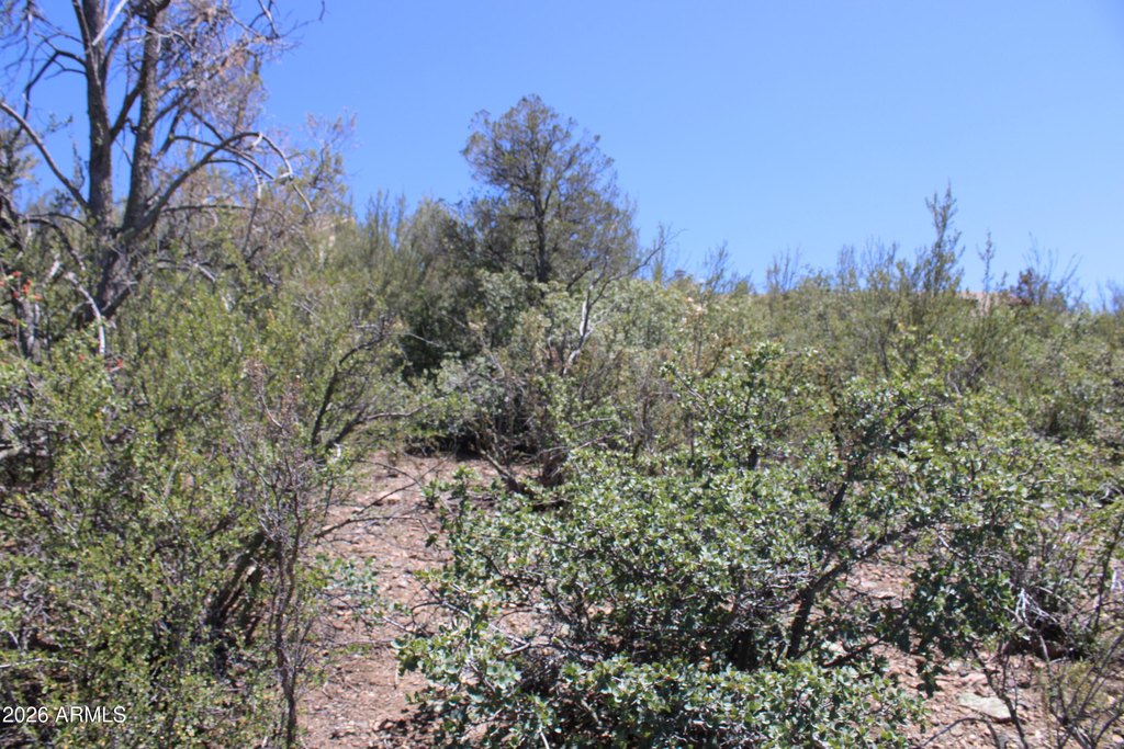 Picture 12