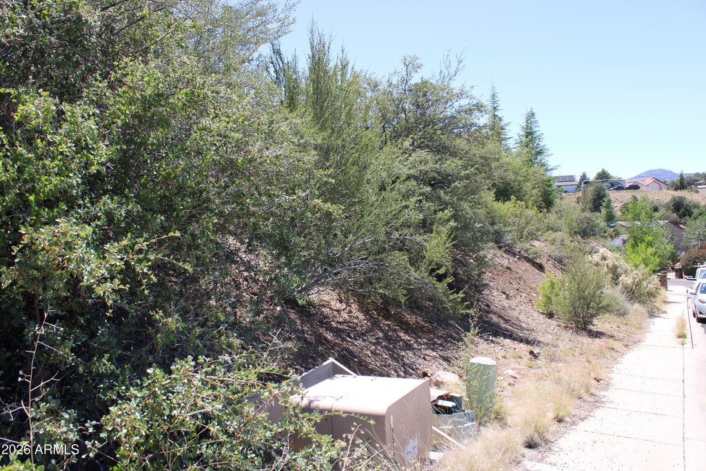 Picture 10