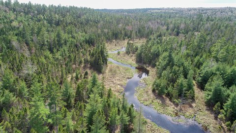 Vast Forestland Parcel in Maine