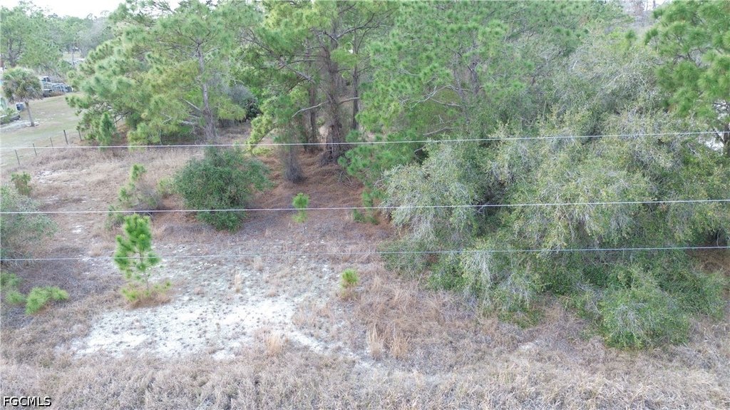 Picture 2