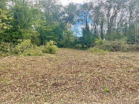 Vacant Lot in Downtown