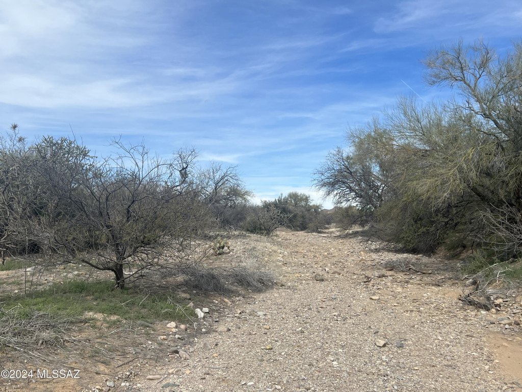Picture 21
