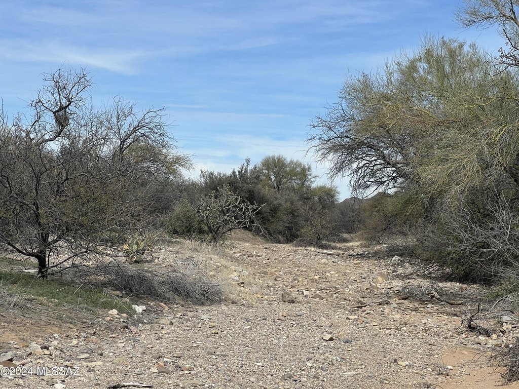 Picture 20