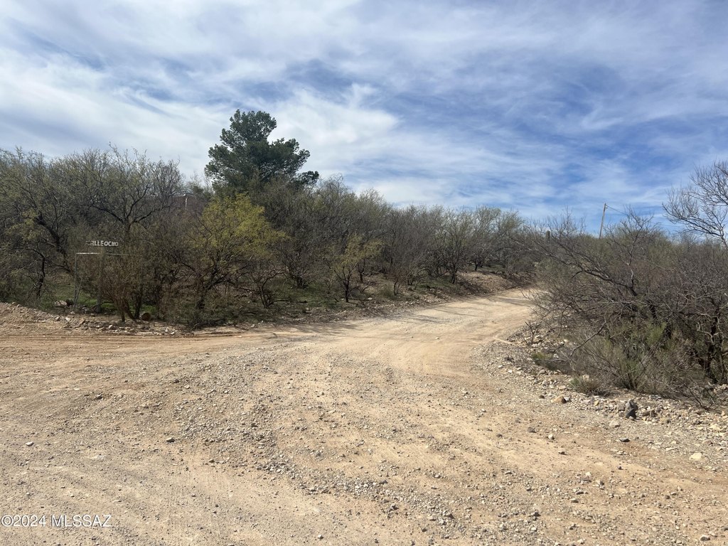 Picture 22