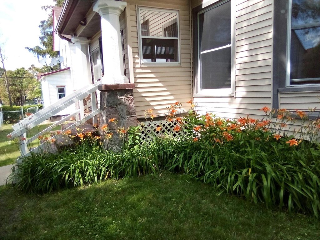 Picture 39