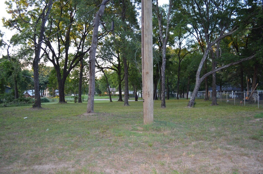 Picture 14