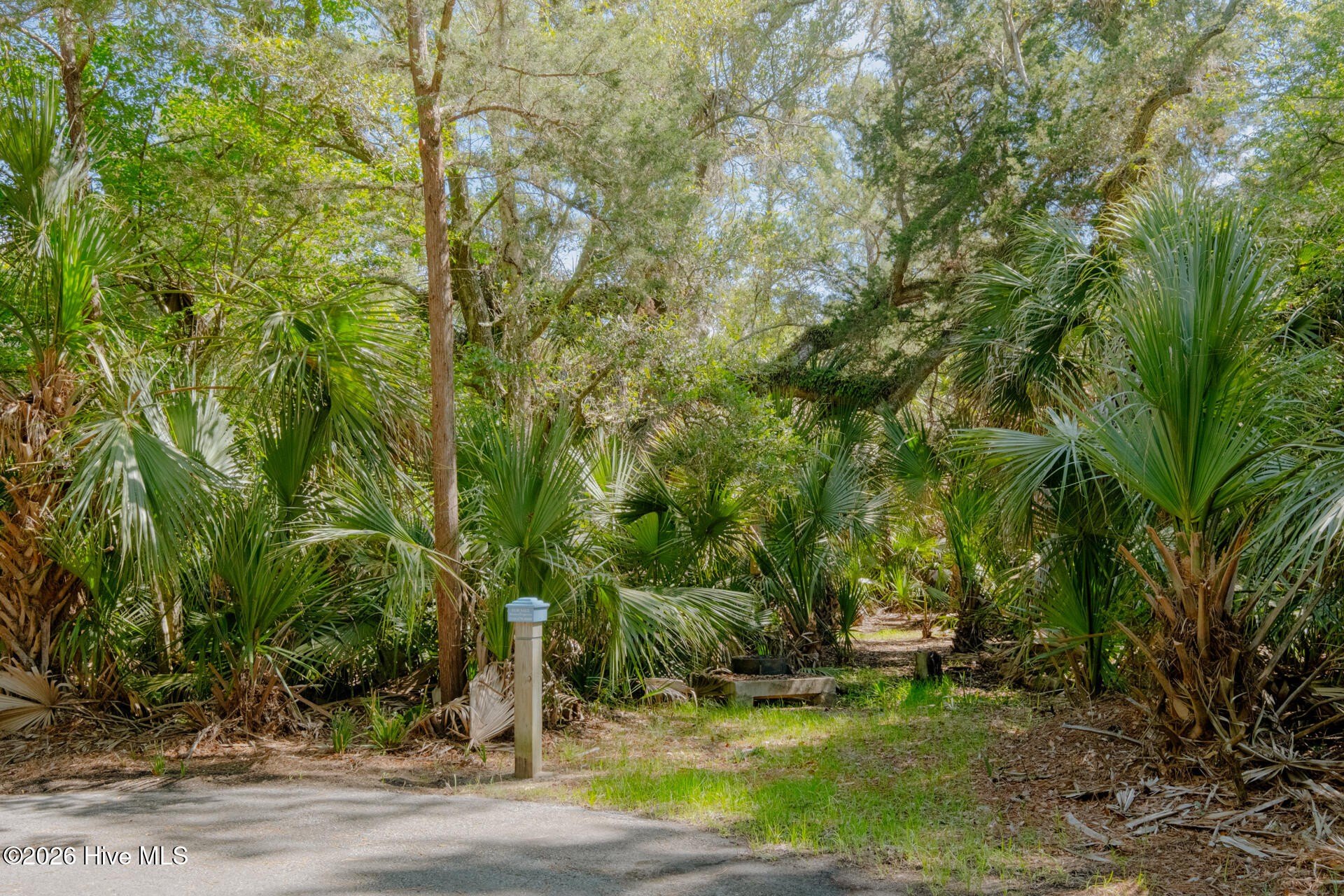 Bald Head Island Land Opportunity
