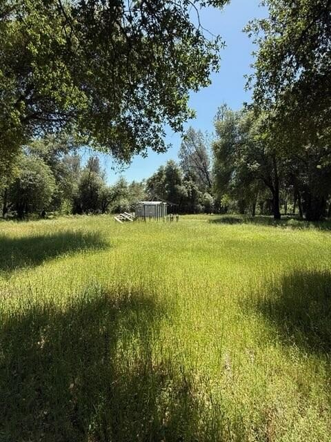 Picture 22