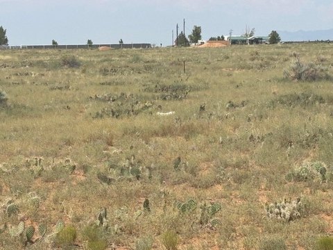 Land, Meadow Lake, NM
