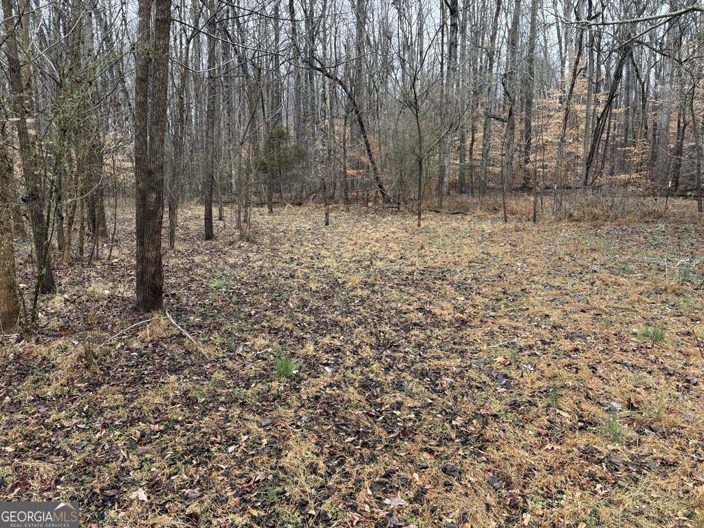 Picture 13