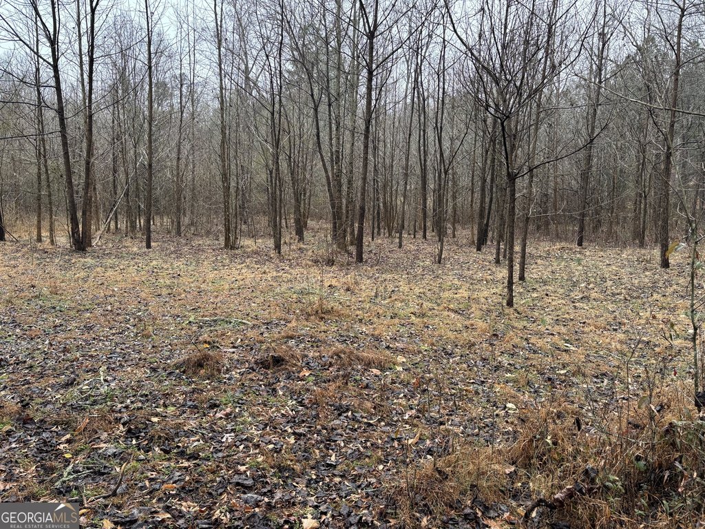 Picture 12