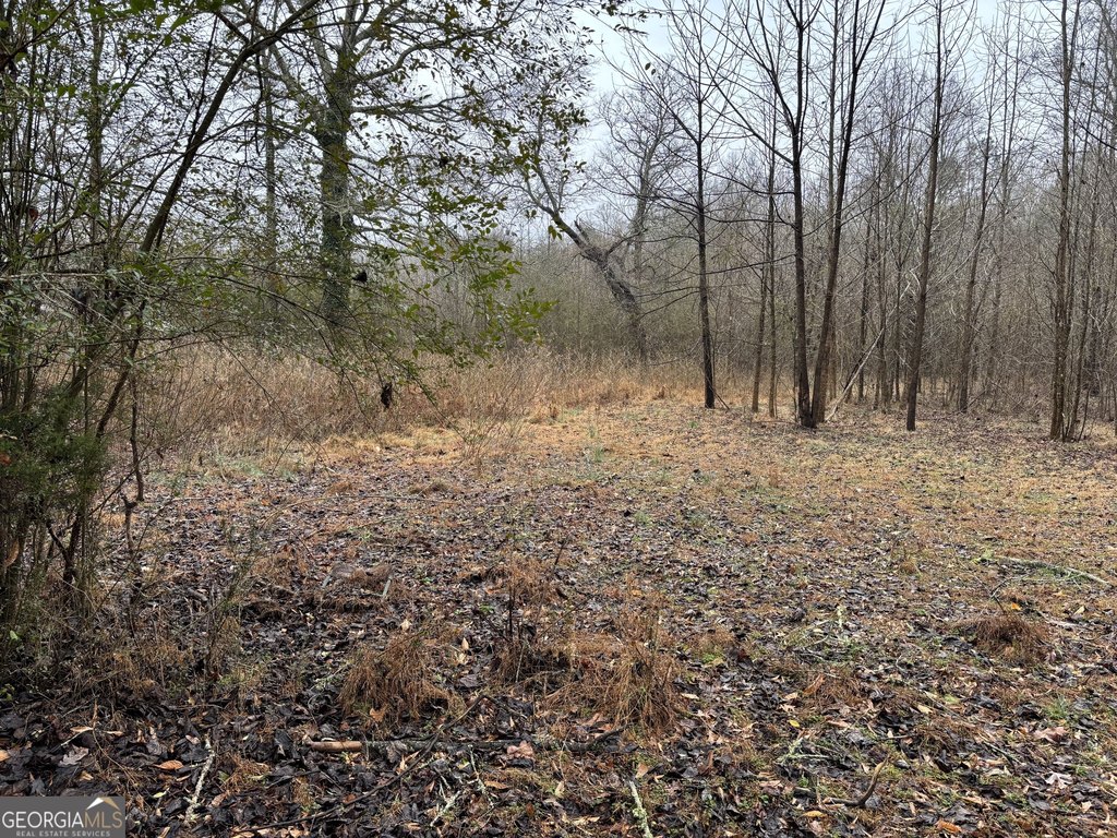 Picture 11