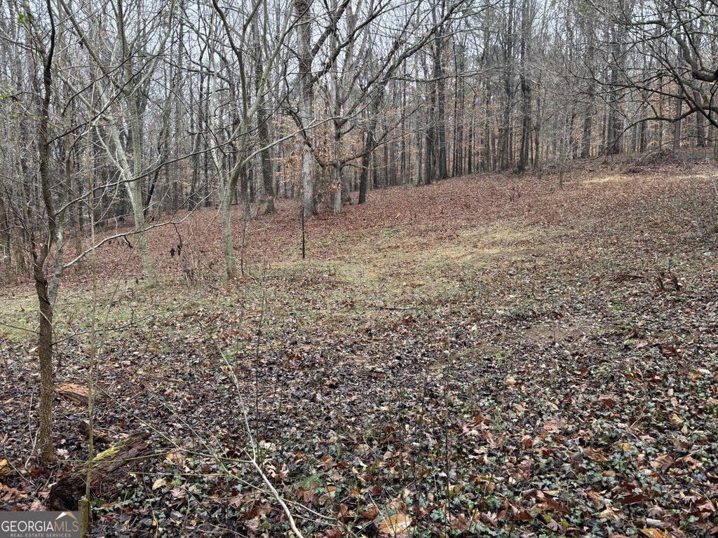 Picture 7