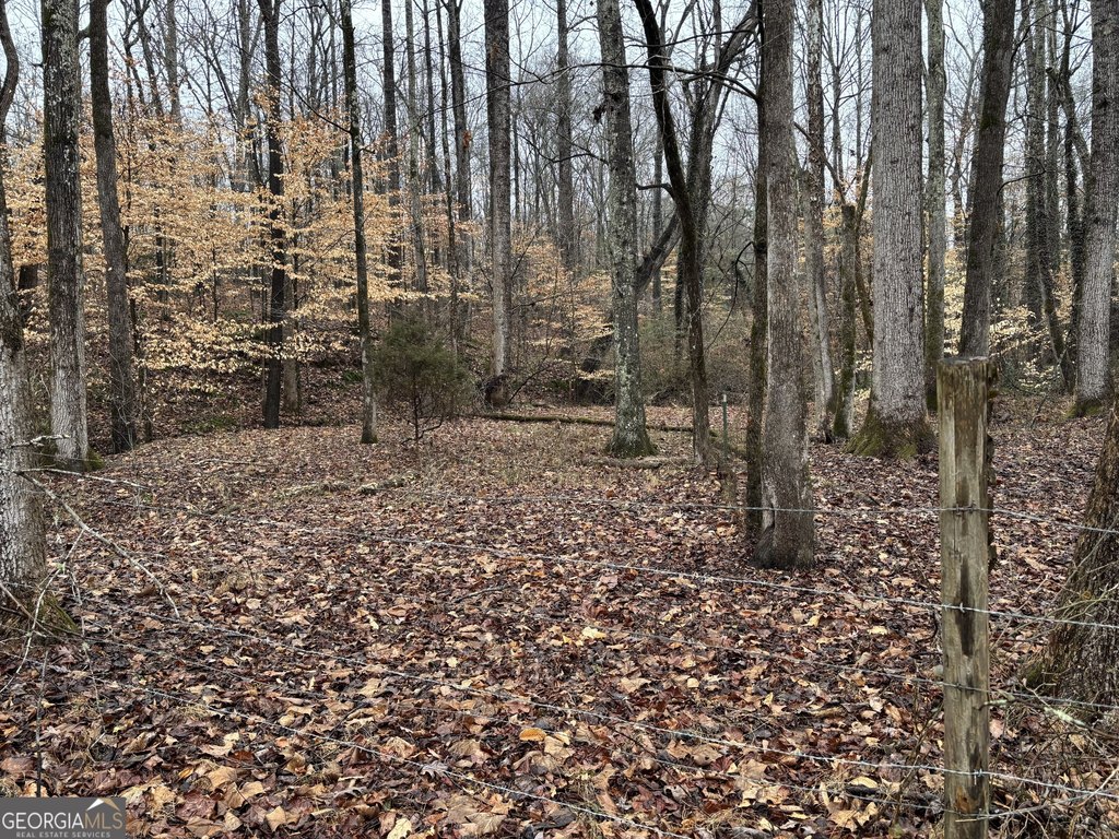Picture 10
