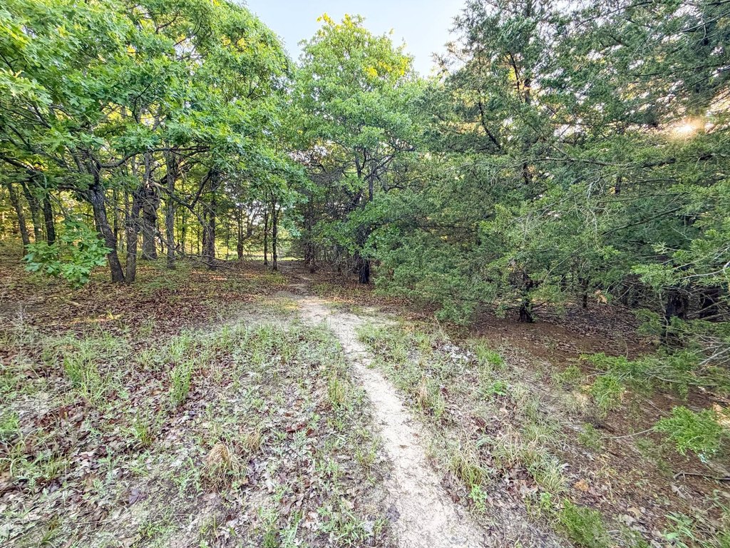 Picture 43