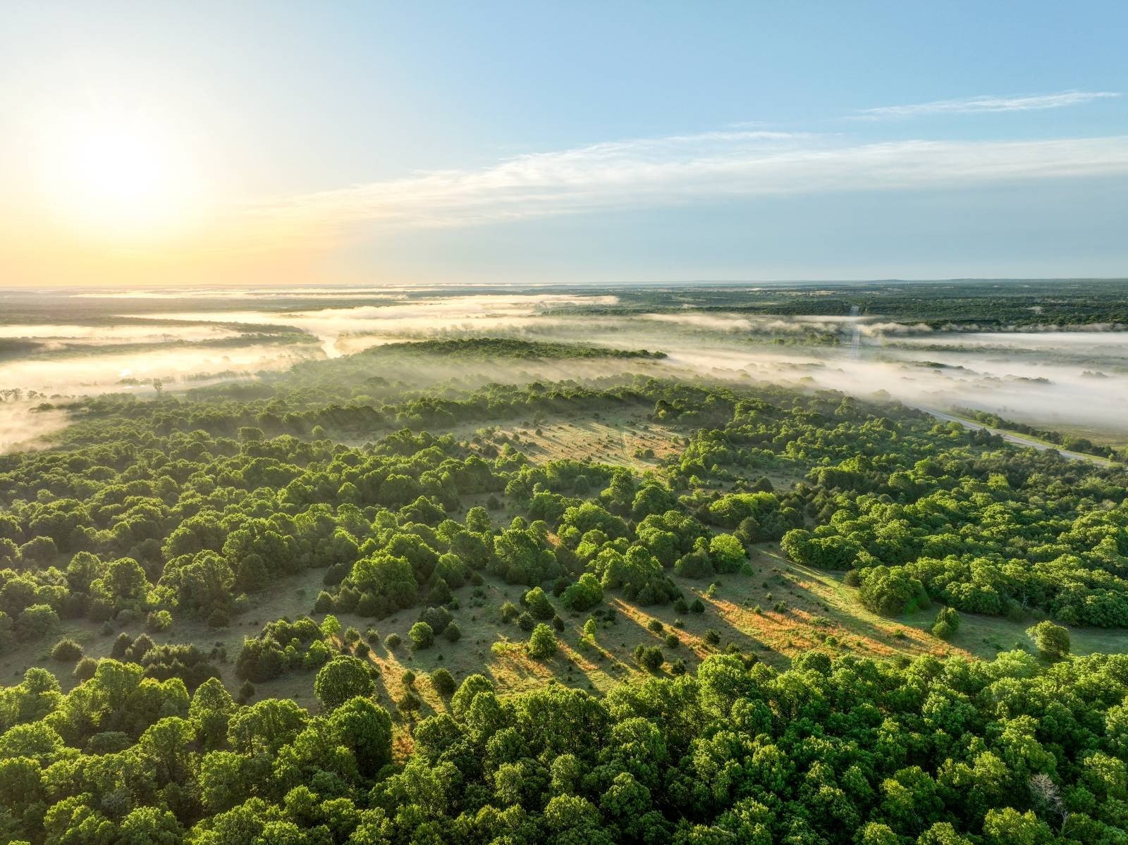 157 Acre Hunting and Building Land