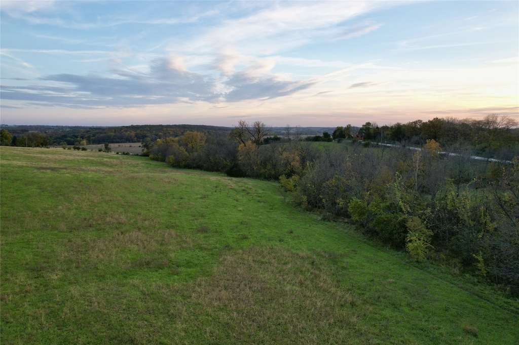 Picture 25