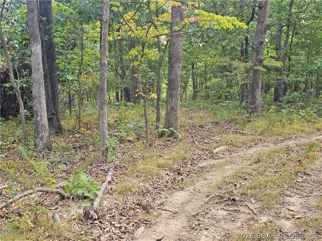 Picture 9