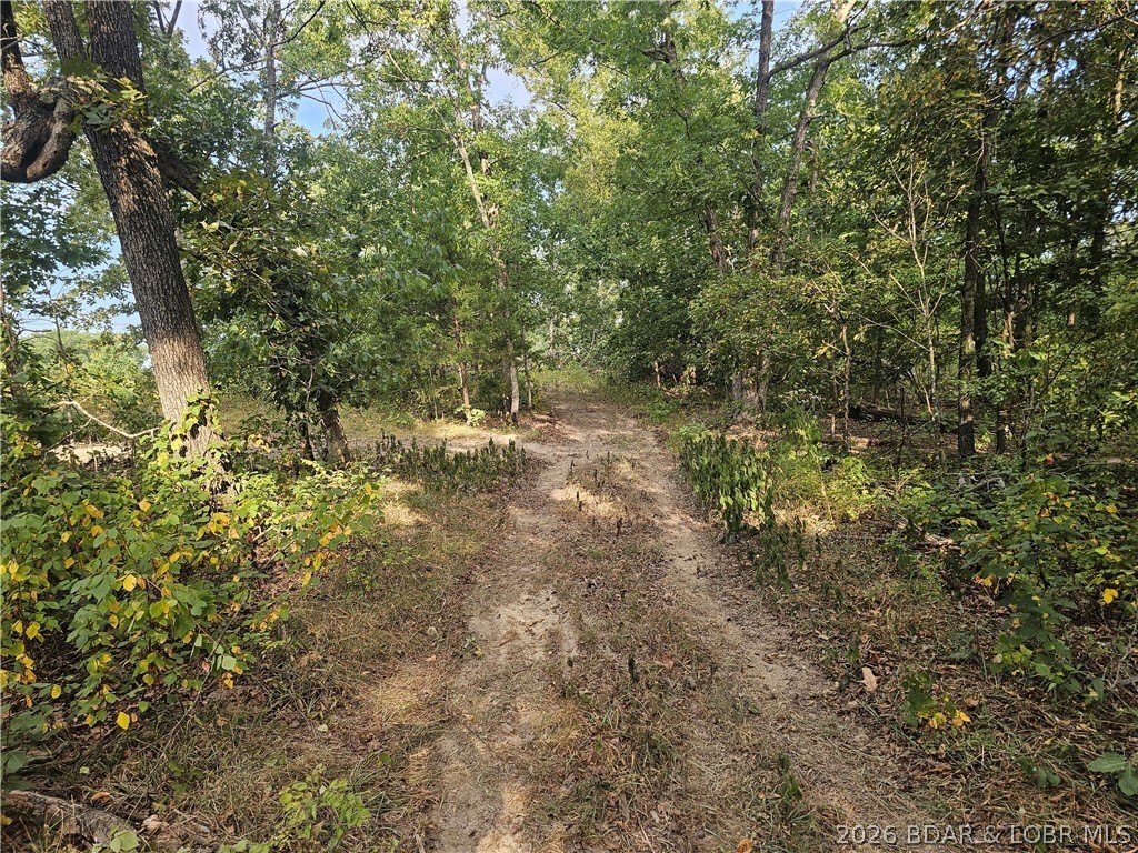 Picture 6