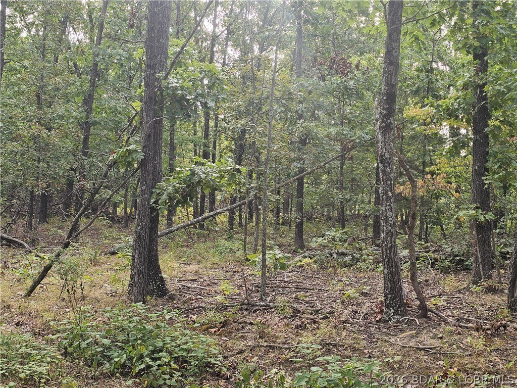Picture 8