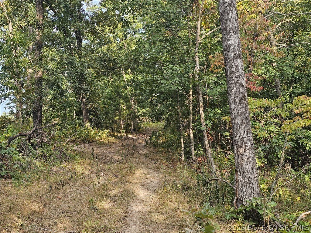 Picture 15