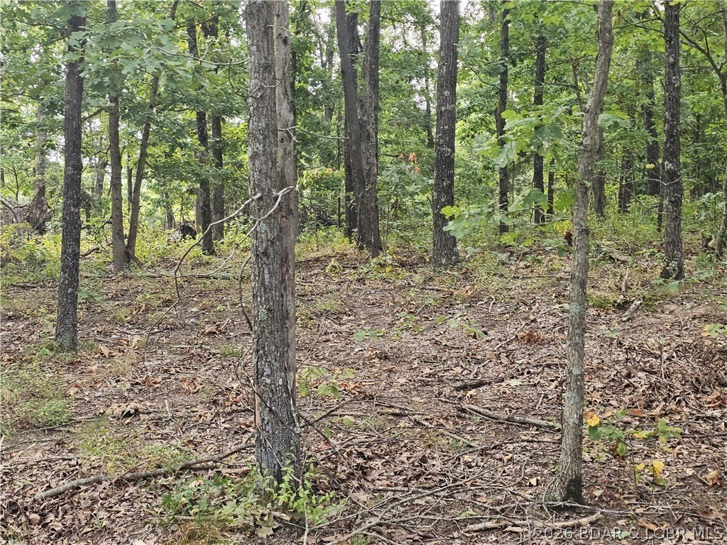 Picture 10