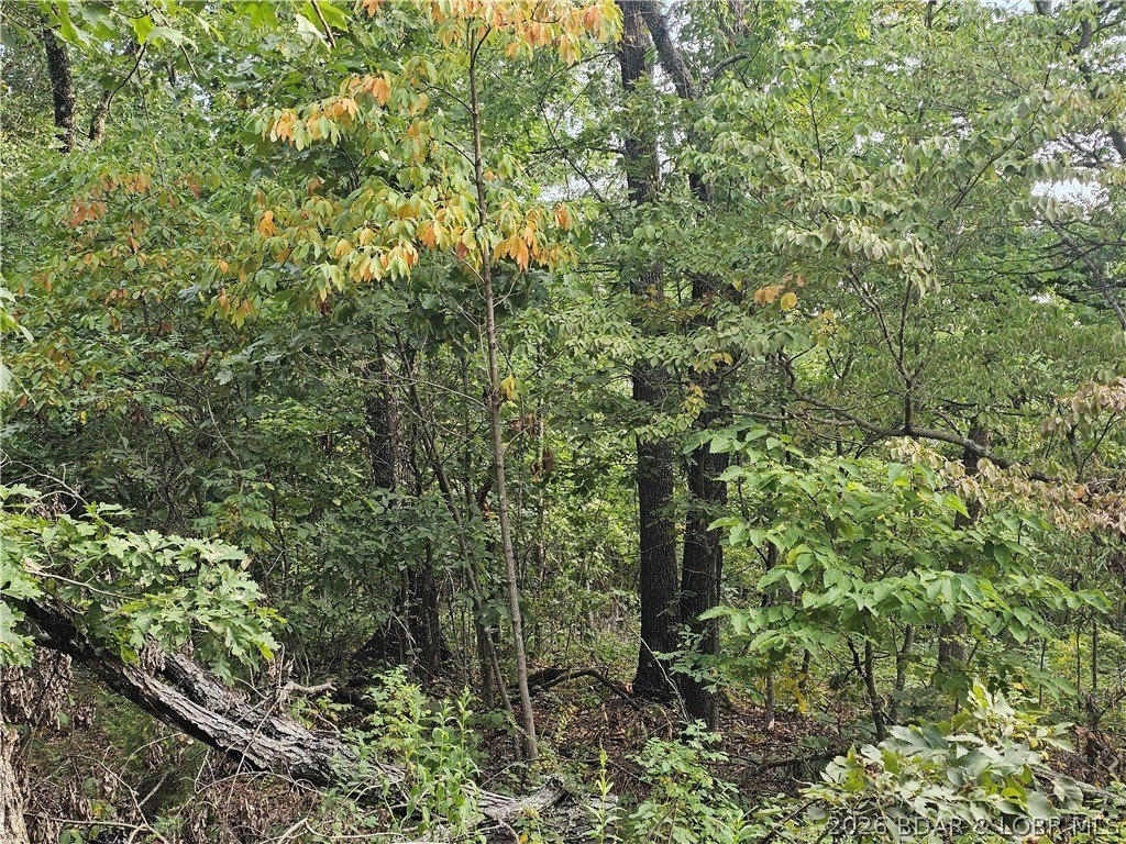 Picture 7