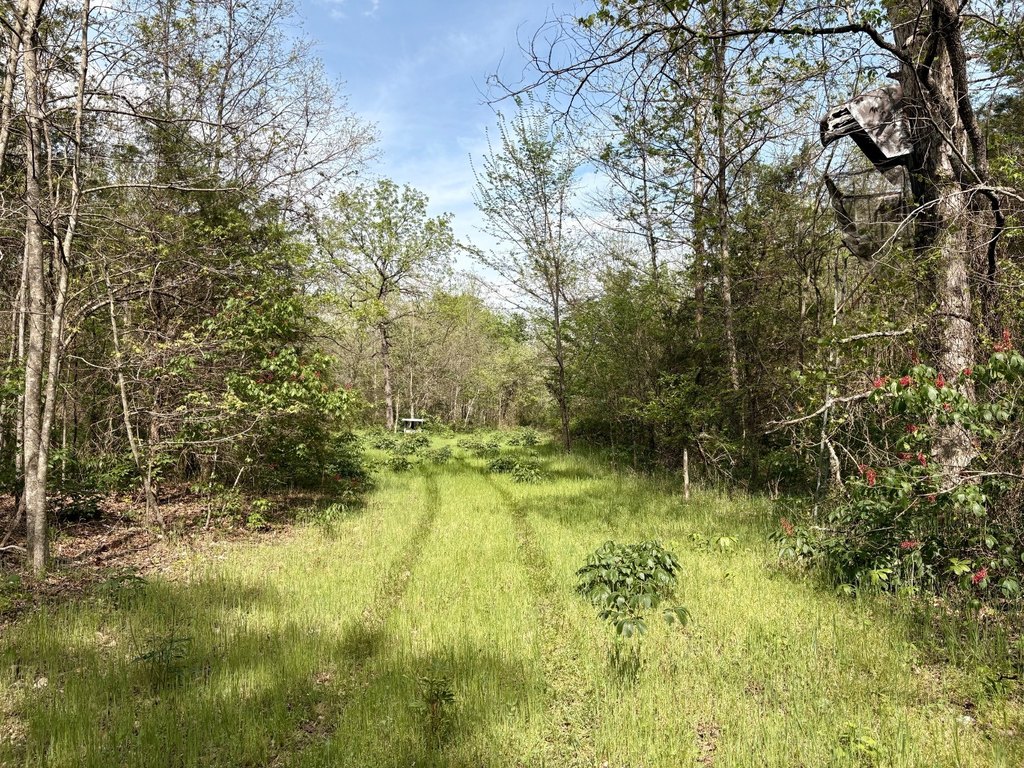 Picture 39