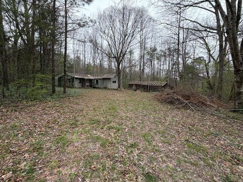 Ellijay Vacant Land with Utilities
