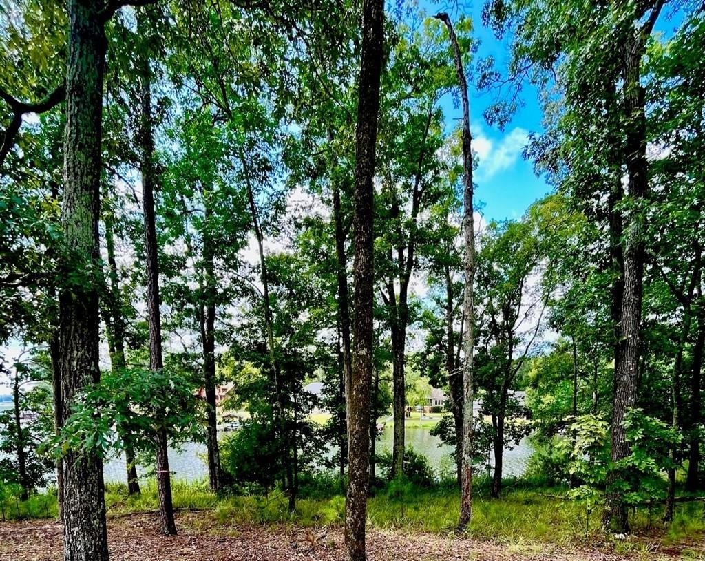 Lake Greenwood Waterfront Land Opportunity