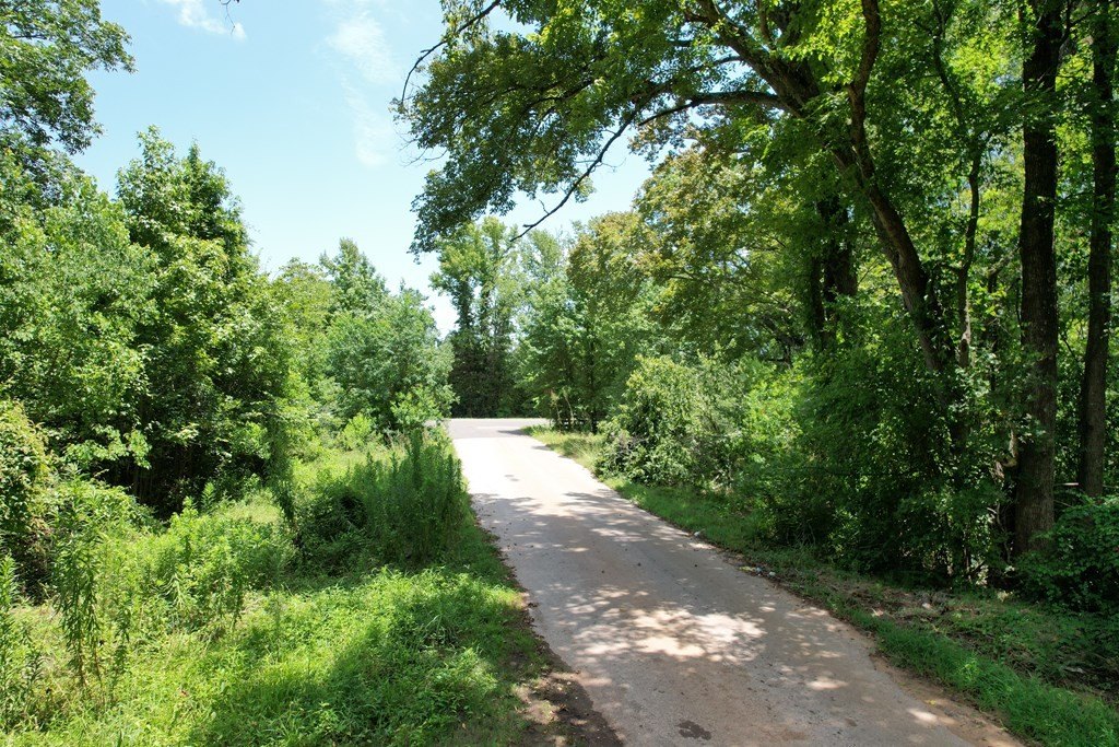 Picture 11